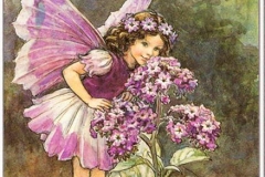 2534033067_47c872012f (Copy)