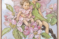 4d3552876a3decf91387378c824a5287 (Copy)