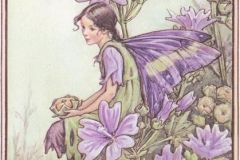 7ca2d1946719d05a2ecb2d08bc062e46 (Copy)