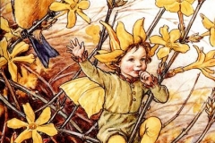 Winter-jasmine (Copy)