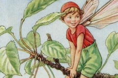 counted-cross-stitch-patterns-the-cherry-tree-fairy-by-cicely-mary-barker-the-flower-fairies-the-flower-fairy-series_6875933 (Copy)