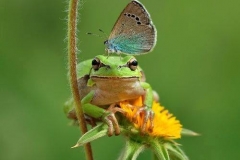 10001506_431931453628356_7148557651280084902_n