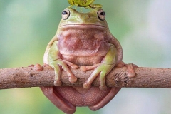 10155380_431931443628357_7219503330775908638_n