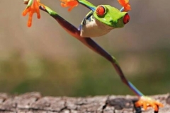 10173803_431931346961700_487265913020787858_n