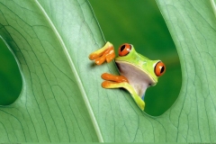 1911749_431931436961691_715974771861378553_n