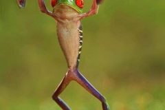 1911818_431931273628374_4498975916529283883_n